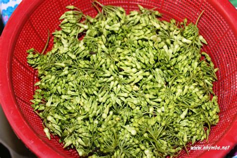 sabidukong|Dinengdeng nga Dukep – nhymbe.net.